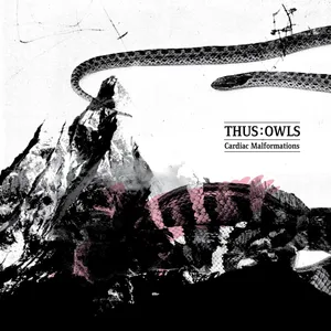 Cardiac malformations